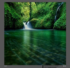 Great looking effects that work really well alongside NextGEN gallery. Shadowbox and NextGEN gallery