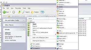 Delete the plug-in you wish to update