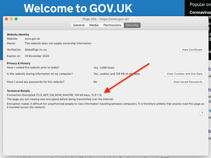 GOV.UK now supports TLS 1.3, as can be seen in the certificate information in Firefox.