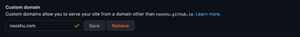 Setting the custom domain in the Github panel.