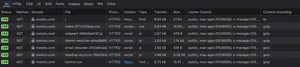 Screenshot from Firefox DevTools Network panel where in the far right where "br" Content-Encoding can only be seen on the HTML document. All other assets only show "gzip" compression.