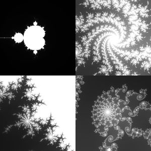 Various forms found in the Mandelbrot Set. Caption: Here are just a few of the shapes I found using the tool. Why not try it yourself?