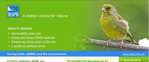 RSPB monthly email newsletters thumbnail image