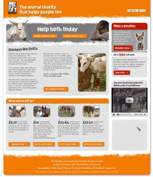 The Brooke help both donkey image.